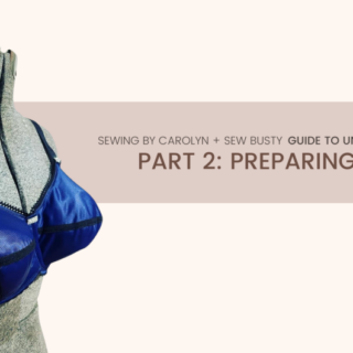 Community Blog | My First Full Bust Adjustment with Stine