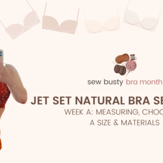 Bra Month | Busty Pattern Review | Pin Up Girls Ingrid Wireless Bra